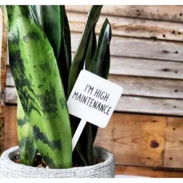Black and white "I'm High Maintenance" plant marker stake