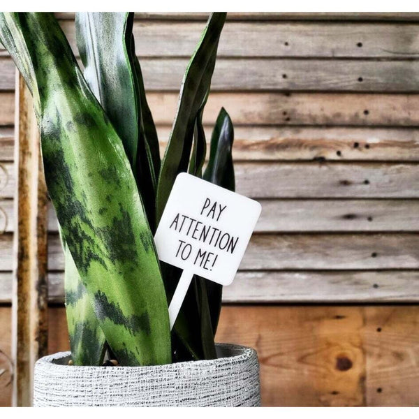 Snarky Plant Marker Stake - Pay Attention To Me