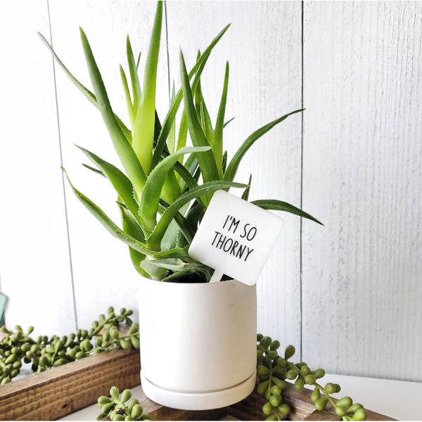 Snarky Plant Marker Stake - I'm So Thorny