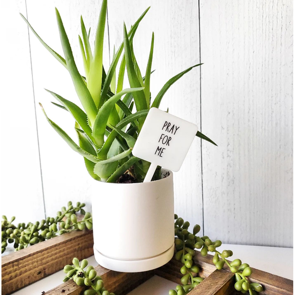 Snarky Plant Marker Stake - Pray for Me