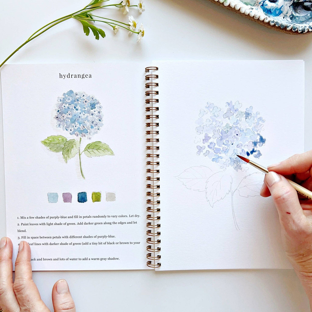 Flowers watercolor workbook by Emily lex studio