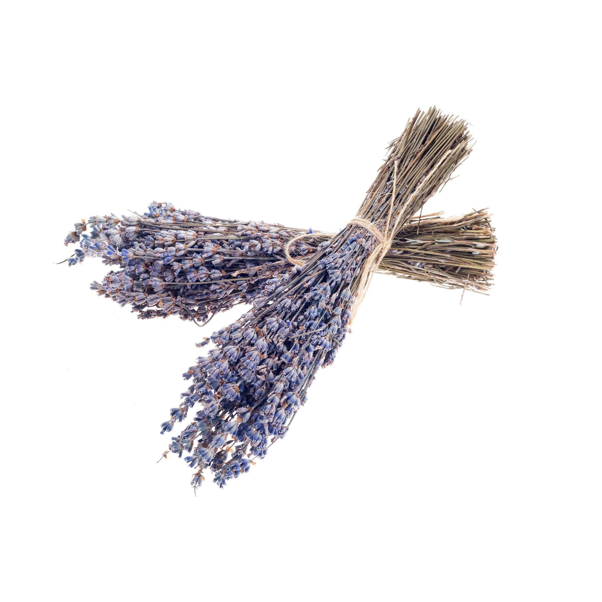Dried French Lavender Bundles