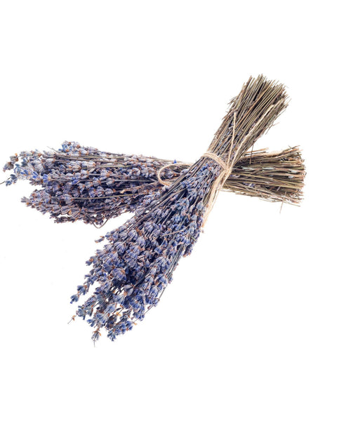 Seattle Seed Co. - Dried French Lavender Bundles