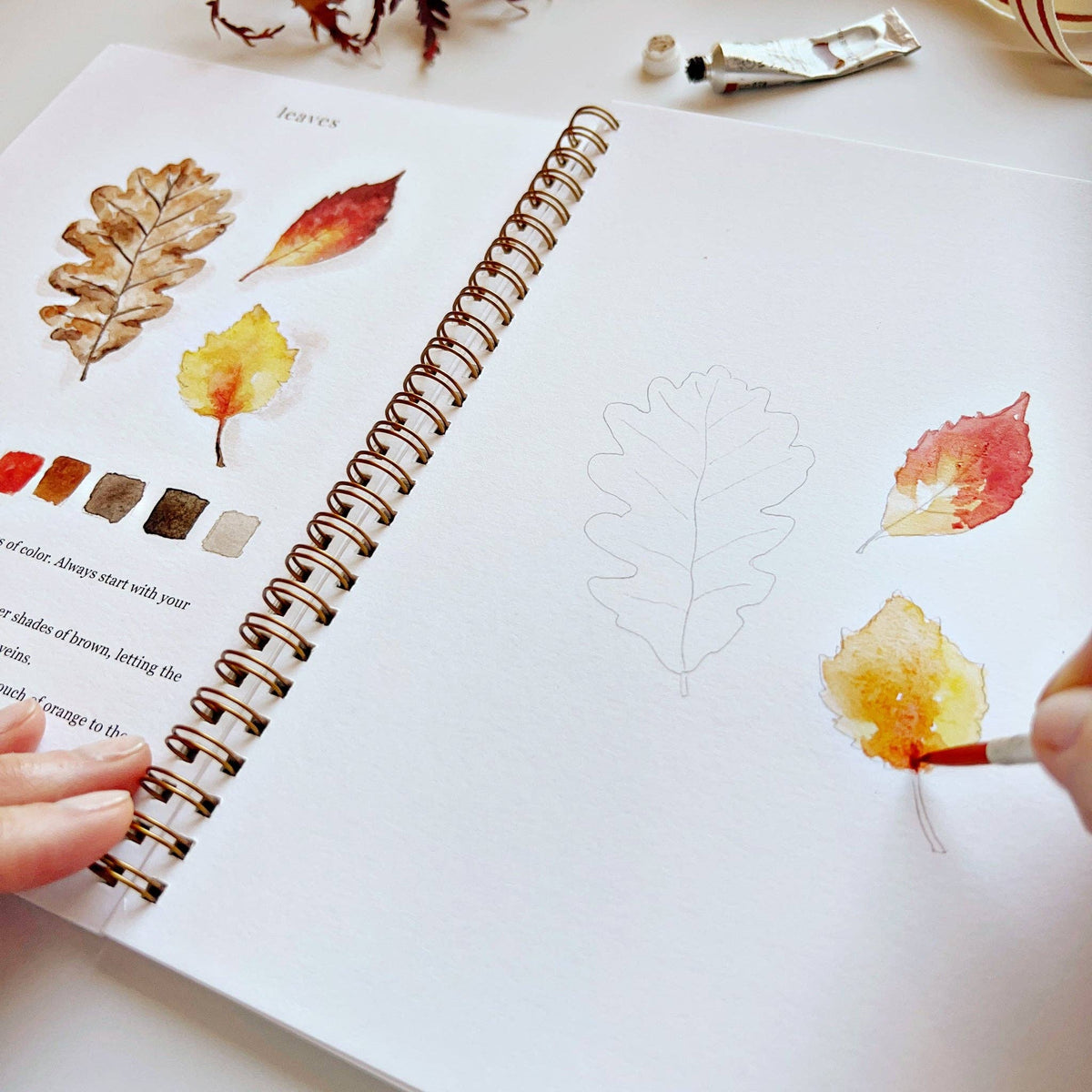 Autumn watercolor workbook by Emily Lex studio