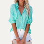 Chic Sheer Collared Long Sleeve Shirt