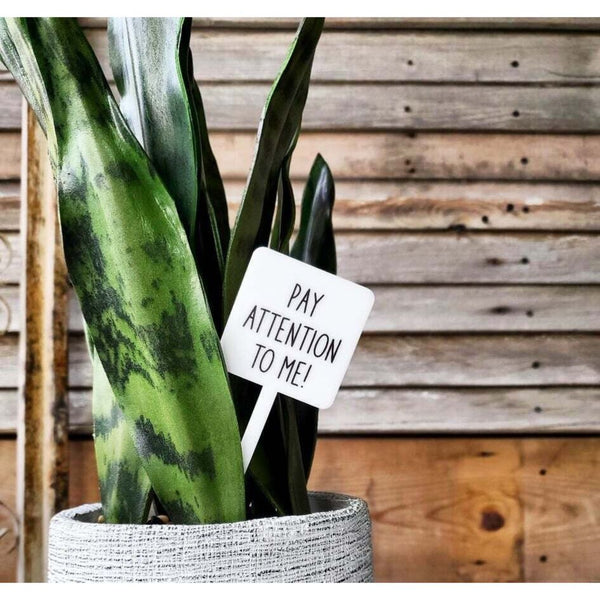 Snarky Plant Marker Stake - "Pay Attention To Me"
