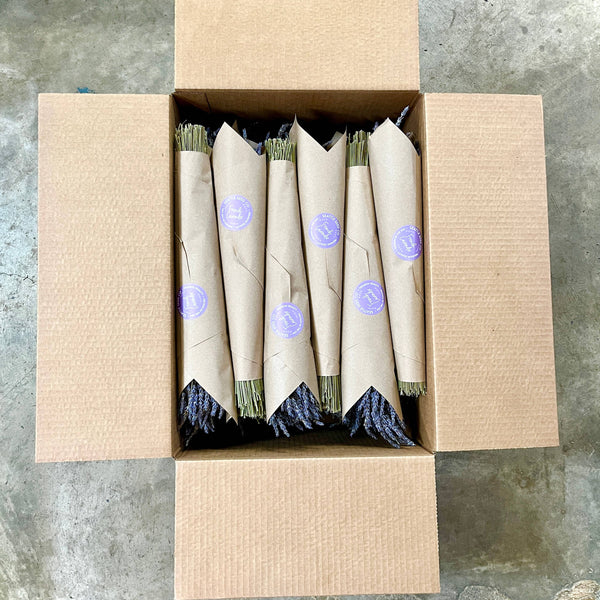 Seattle Seed Co. - BULK Dried French Lavender Bouquets Mega Pack 30 bunches