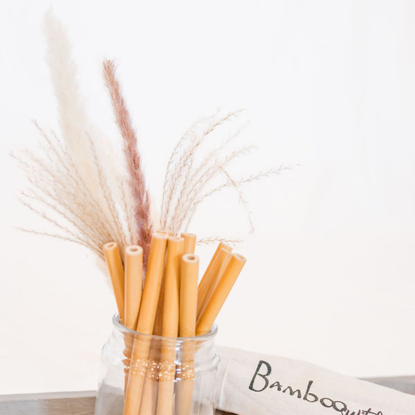 10 Organic Bamboo Straws & Coconut Fiber Straw Cleaner Set