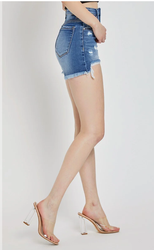 Risen High Rise DIstressed Shorts