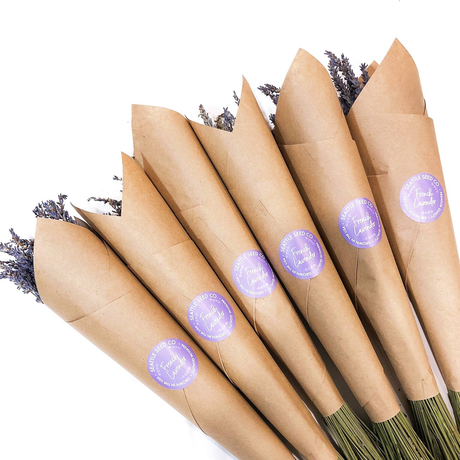 Dried French Lavender Bundles - Thumbnail 3
