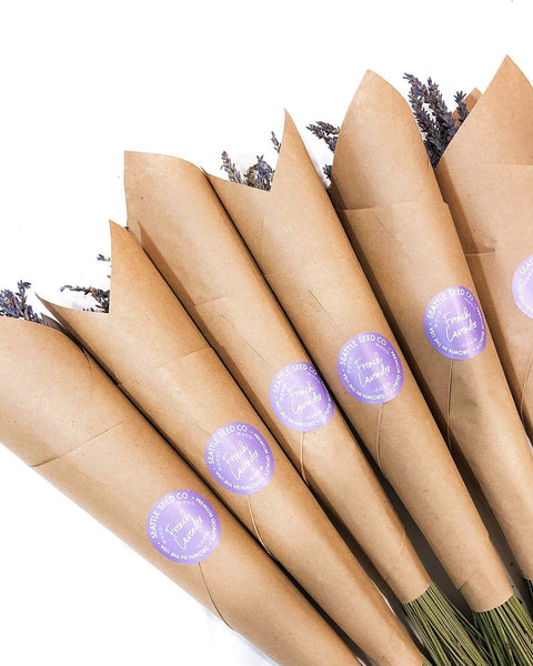 Seattle Seed Co. - Dried French Lavender Bundles