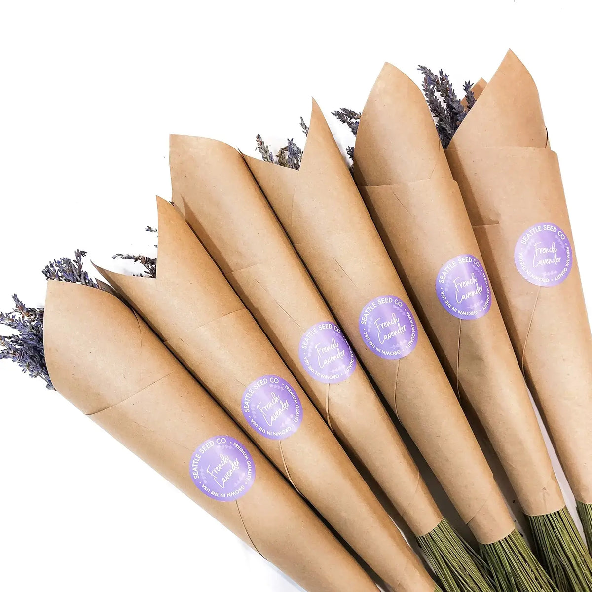 Seattle Seed Co. - BULK Dried French Lavender Bouquets Mega Pack 30 bunches