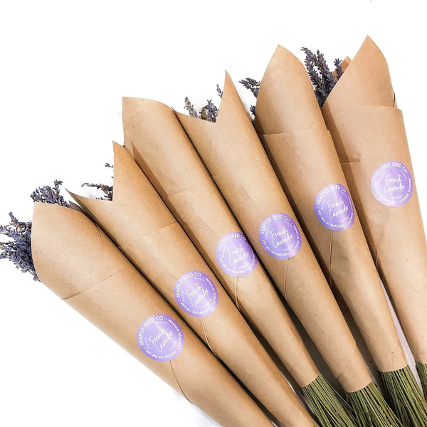 Seattle Seed Co. - BULK Dried French Lavender Bouquets Mega Pack 30 bunches