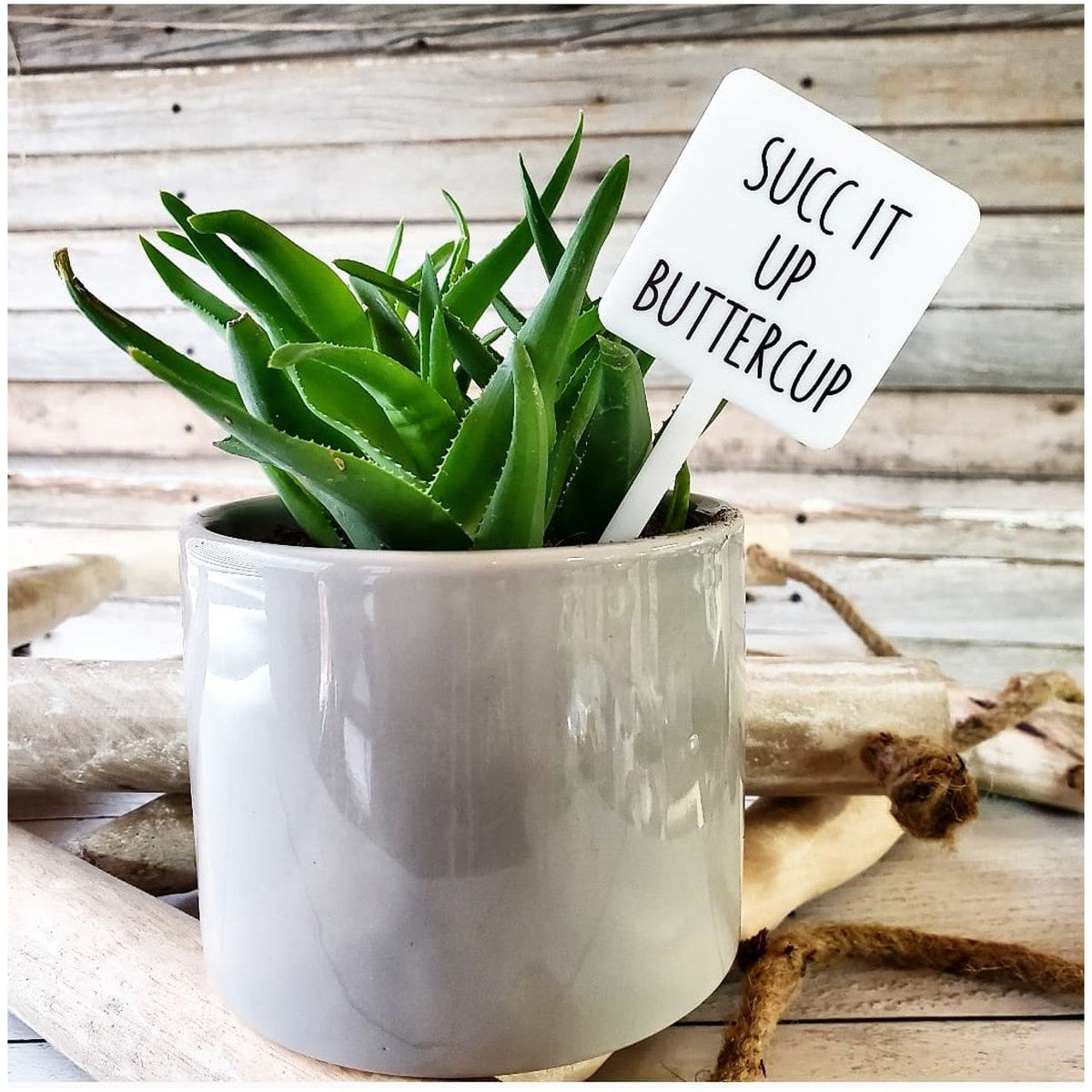 Snarky Plant Marker Stake - Succ It Up Buttercup