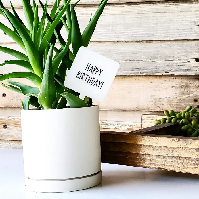 Snarky Plant Marker Stake -  Happy Birthday