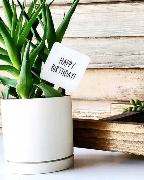 Snarky Plant Marker Stake -  Happy Birthday
