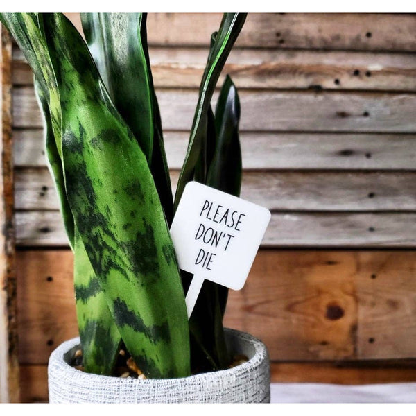 Snarky Plant Marker Stake - Please Don't Die - SLATE Boutique & Gifts