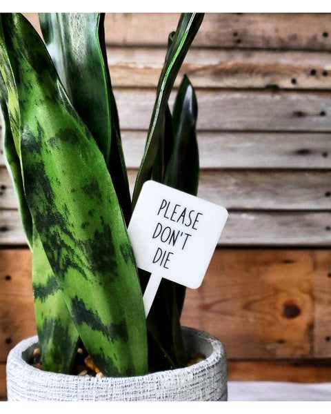 Snarky Plant Marker Stake - Please Don't Die - SLATE Boutique & Gifts