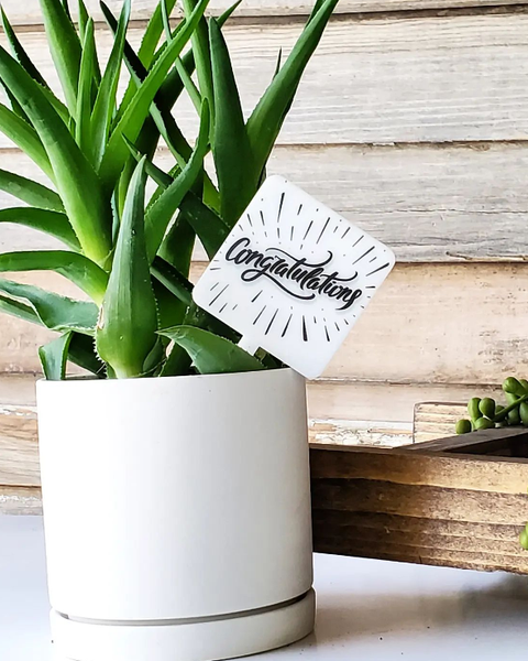 Snarky Plant Marker Stake -  Congratulations