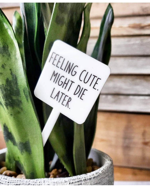 Snarky Plant Marker Stake - Feeling Cute. Might Die Later. - SLATE Boutique & Gifts