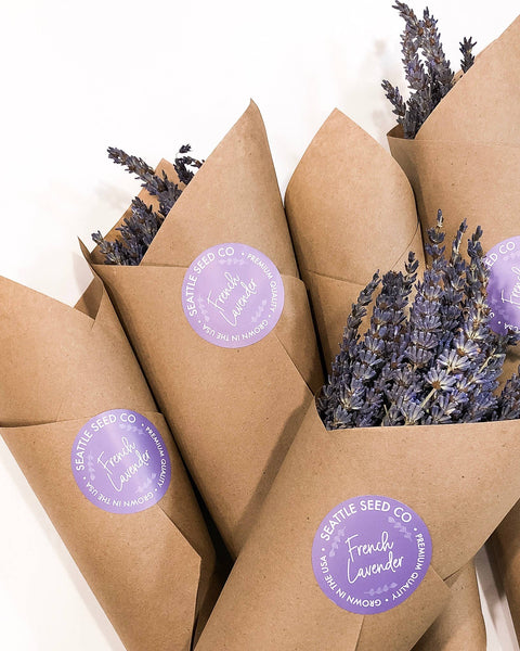 Seattle Seed Co. - Dried French Lavender Bundles