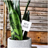 Snarky Plant Marker Stake - Not A Hugger - SLATE Boutique & Gifts