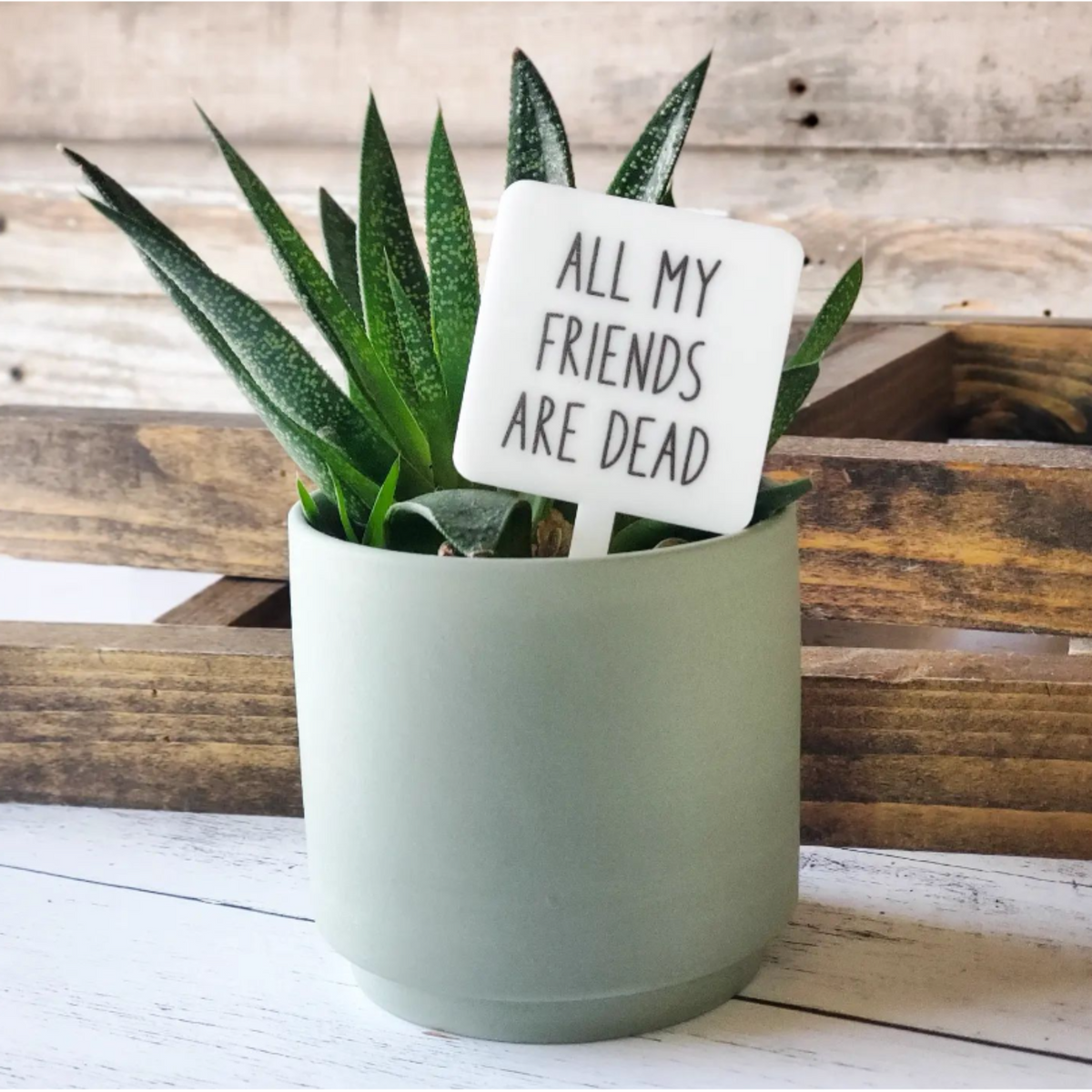 Plant Marker Stake -  All My Friends are Dead