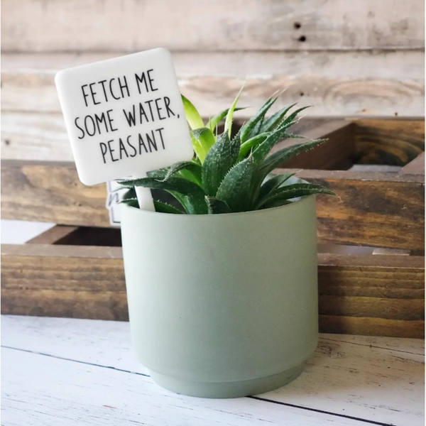 Black and white "Fetch Me Some Water, Peasant", plant stake - SLATE Boutique & Gifts 